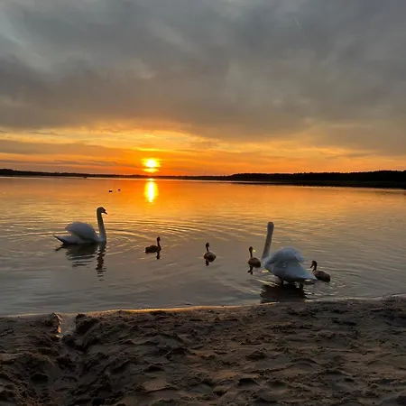 Semesteranläggning (resort) Zacisze Bis *