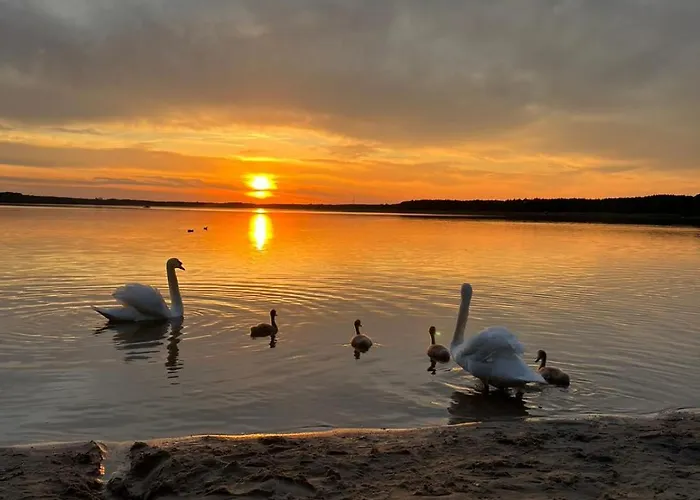 Θέρετρο Zacisze Bis *